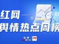爆料和新闻,最新爆料与新闻事件深度解析
