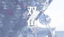 双鱼座女孩爆料视频播放,爆款视频背后的故事