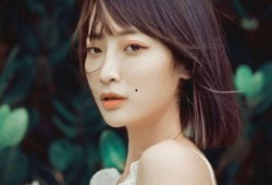 娱乐圈女最新爆料,揭秘背后惊人真相